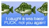 seabass seabass